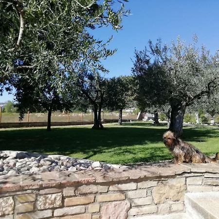 La Lanterna Di Lanfo Apartment Assisi Bagian luar foto