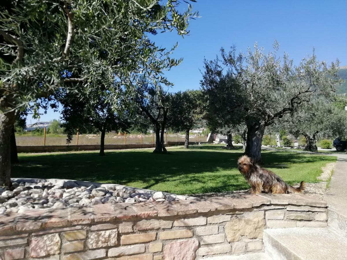 La Lanterna Di Lanfo Apartment Assisi Bagian luar foto